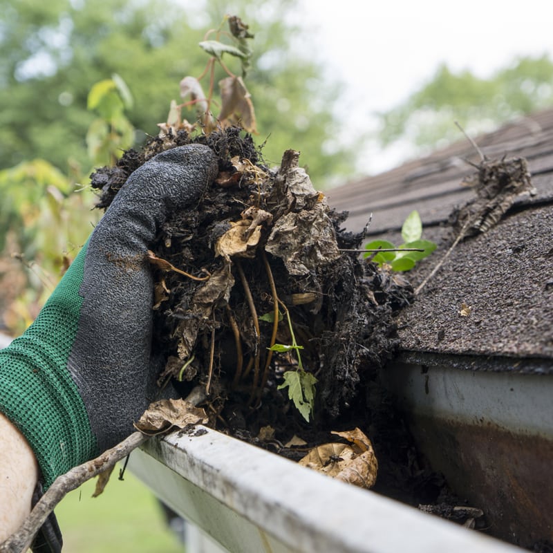 Top reasons to install gutter guards