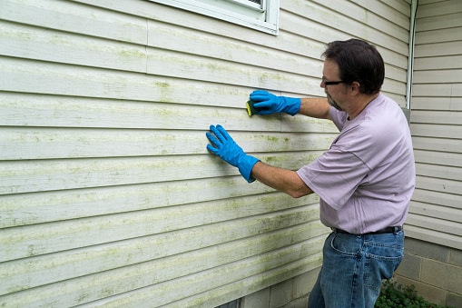 List of ways to clean siding
