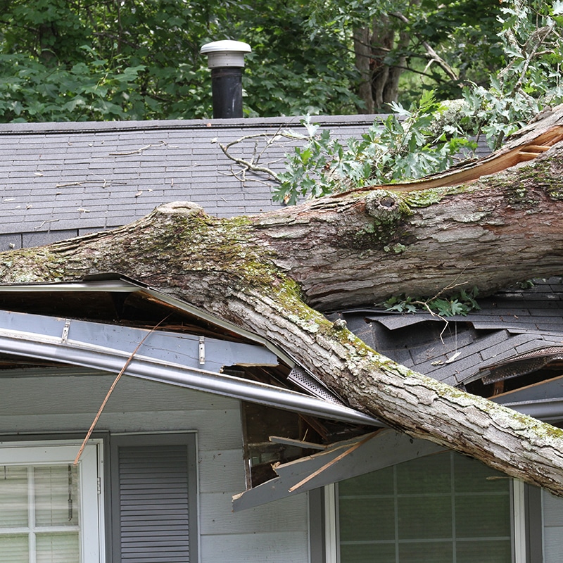 Discuss the top ways to repair minor roofing problems